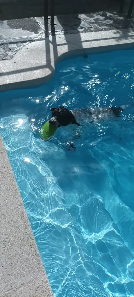 Alicia_Casa Rural Mi Descanso_Valdefuentes de Sangusín_review