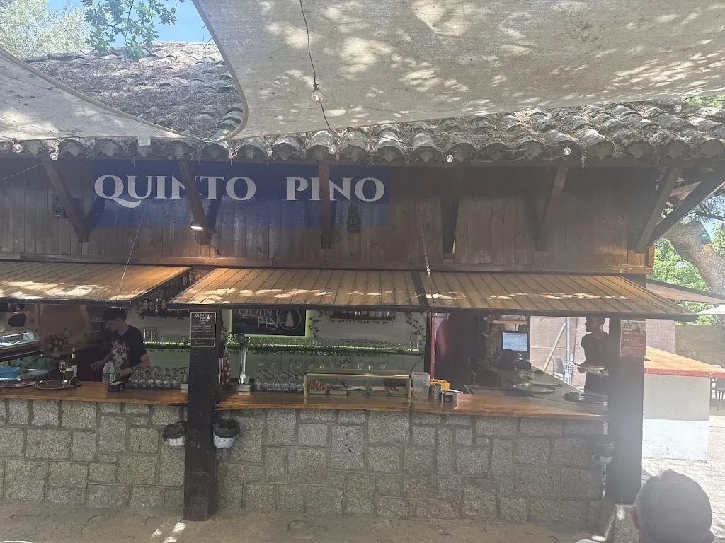 JUAN J. BOTE VALERO_Quinto Pino_Valdehijaderos_review