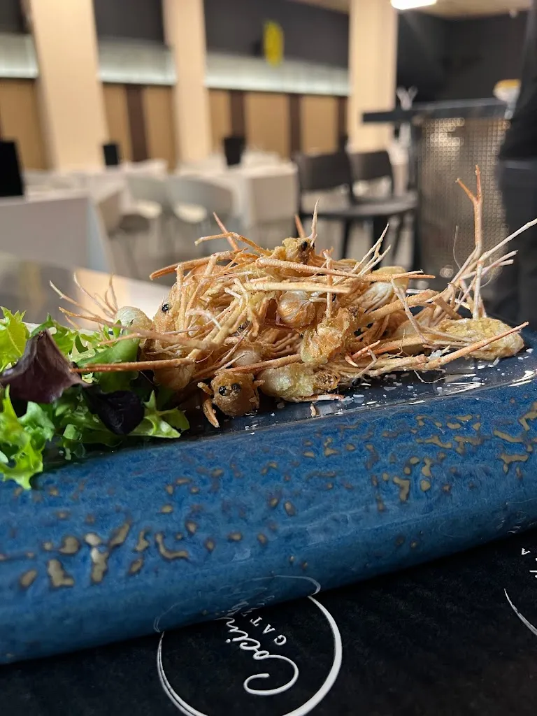 Cocina Gatzara_Villena_slider_image_3