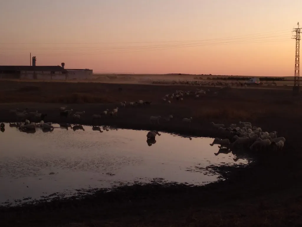 Bar Sonia restaurant in Villar de Gallimazo