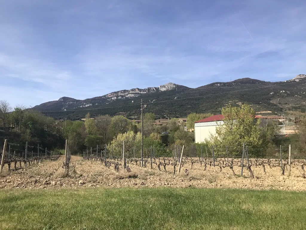 Bene DPJ_Restaurante Baigorri_Villar de Samaniego_recensione