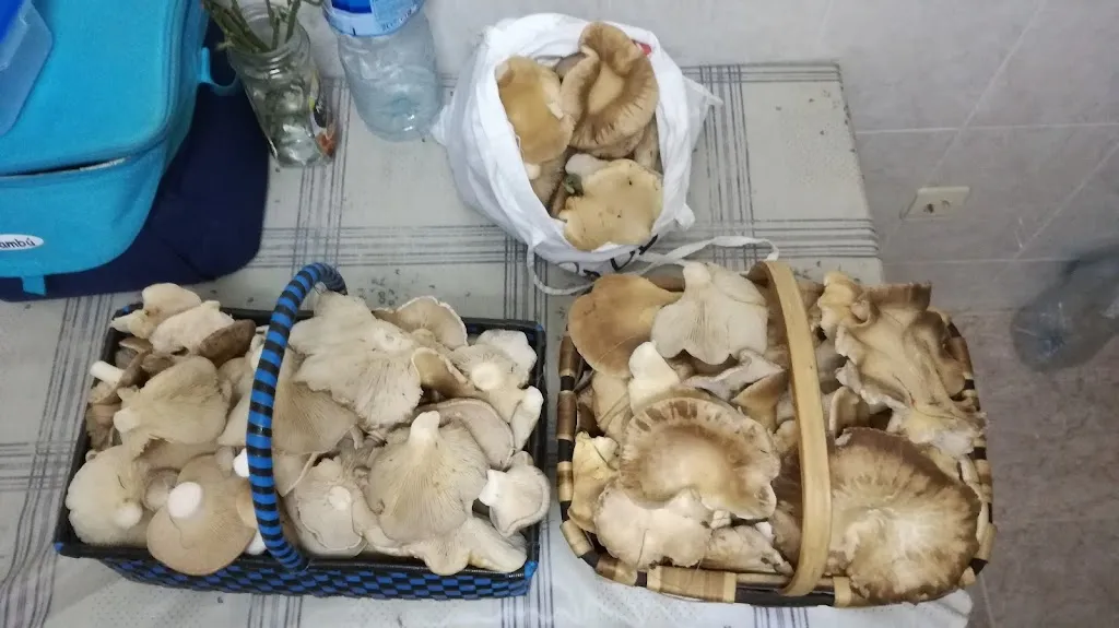 Menu_Sydney Bar Vitigudino_Villarmuerto_image_3