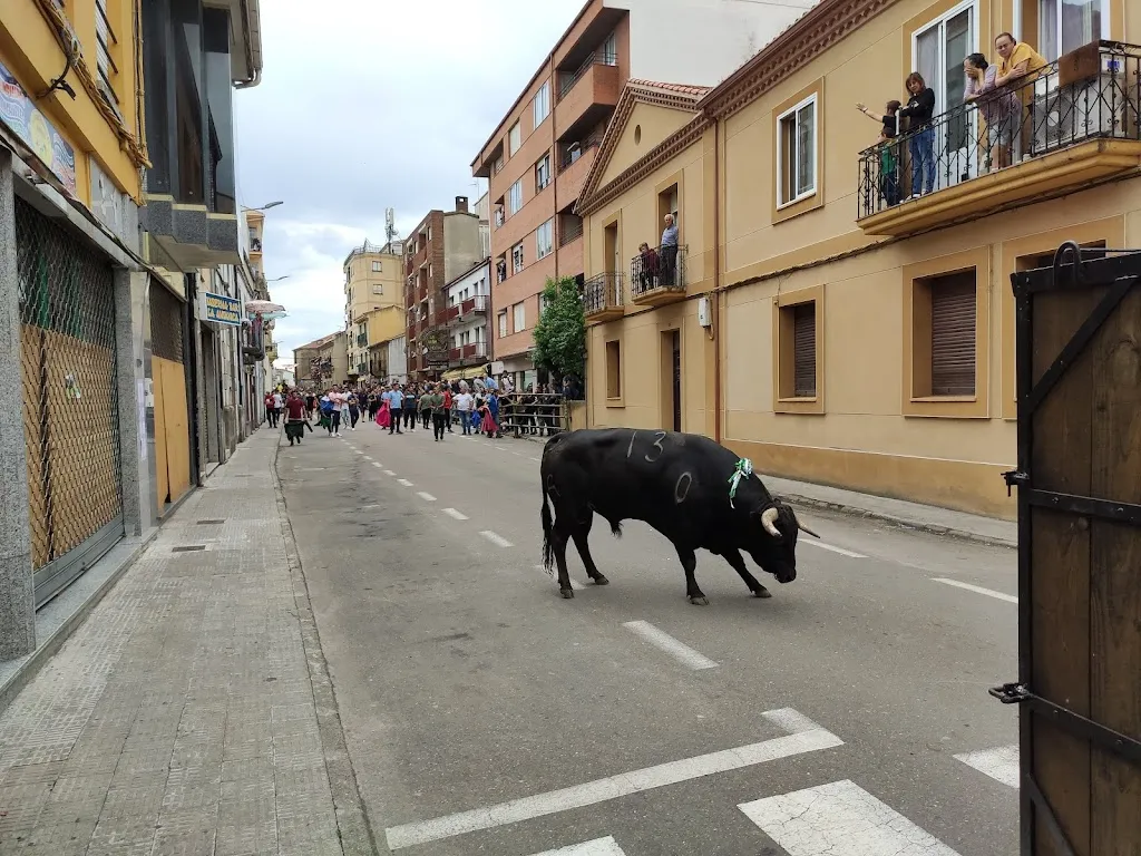 Bar Rafa restaurant in Villarmuerto