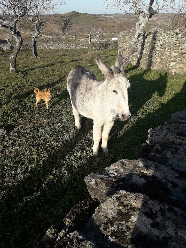 Cafetería Discoteca Brasilia restaurant in Vilvestre