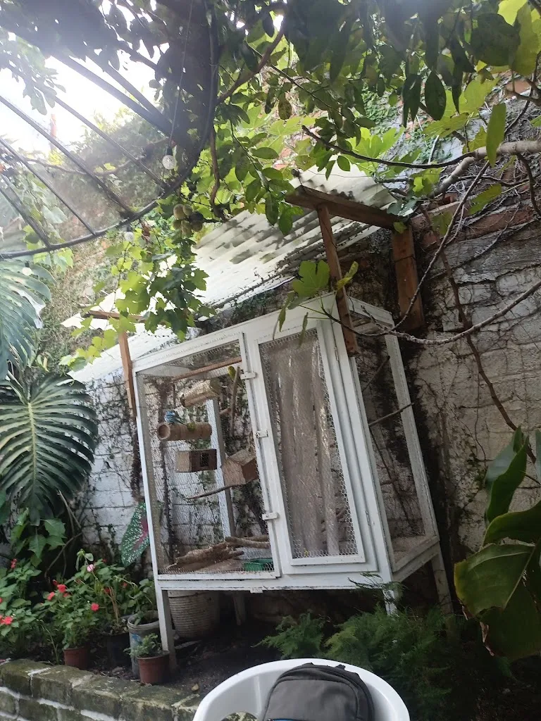 OSWAL PANIAGUA_Restaurant-bar 