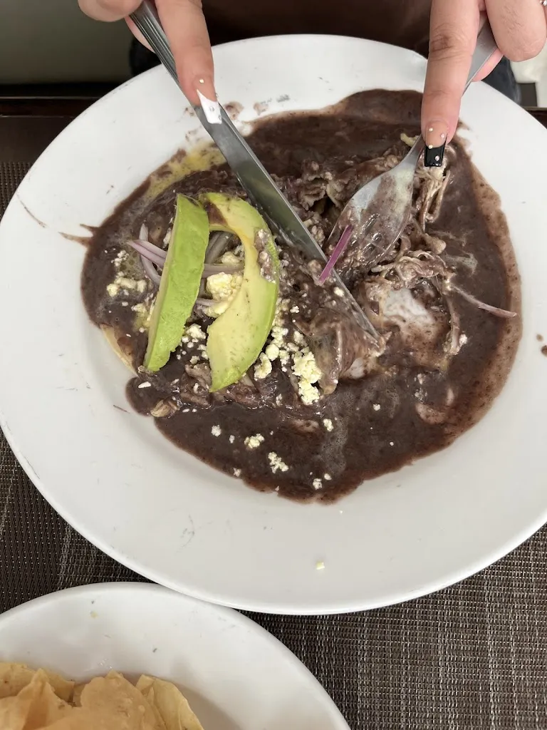 Jesús Farrera Grajales_Los Helechos_Villaflores_review