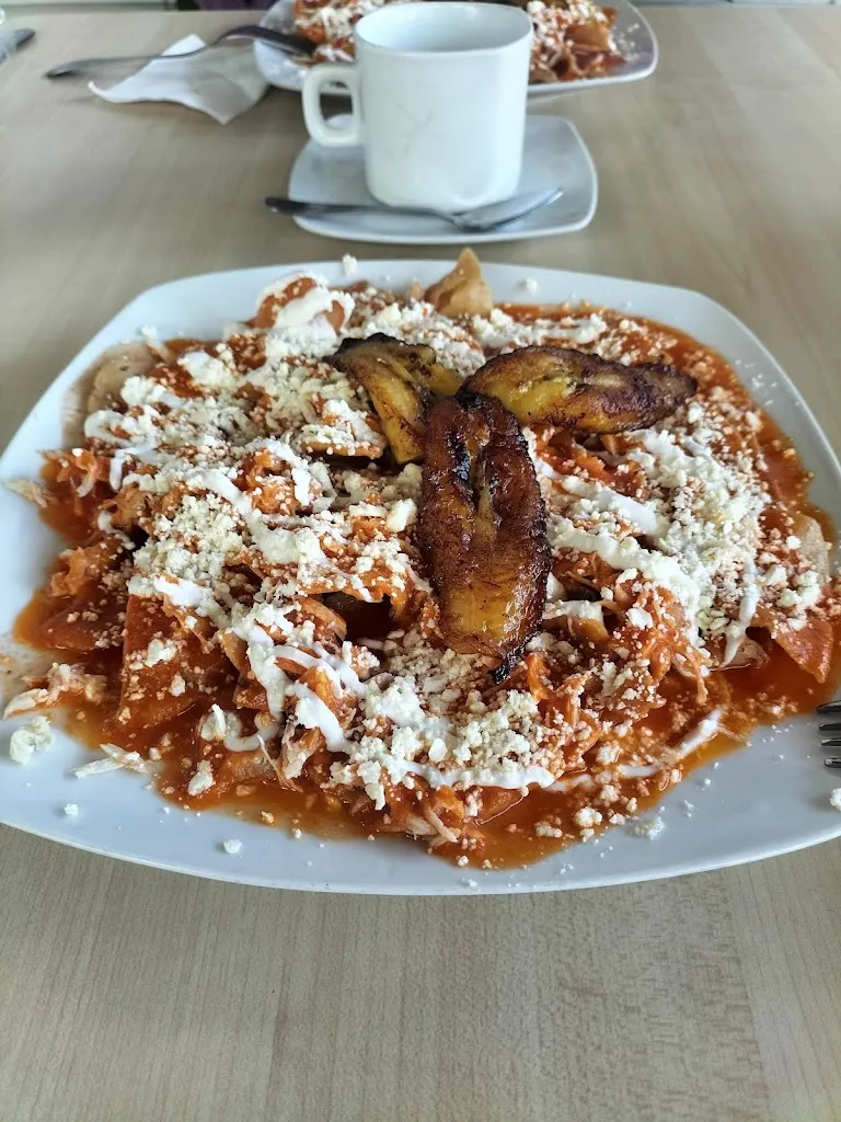 Menu_Restaurant D'Elo_Villaflores_image_9