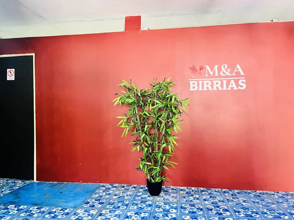 M&A BIRRIAS_Villaflores_slider_image_2