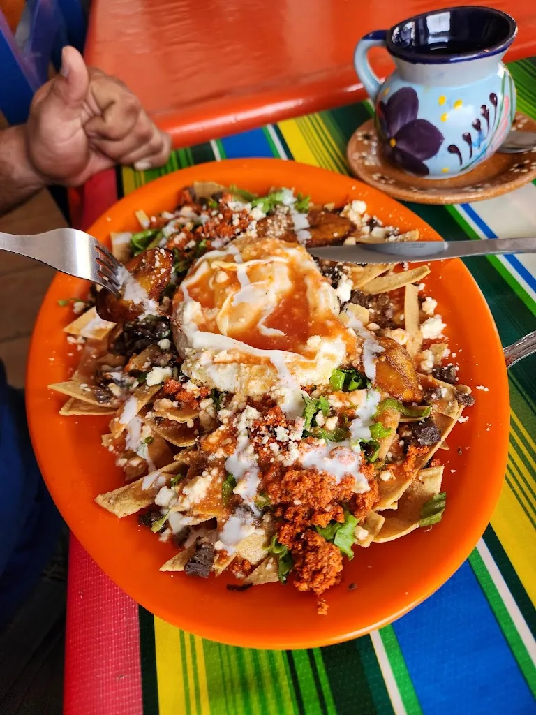 Williams López Vidal_CASA MEJICANA._Villaflores_review