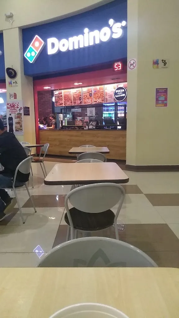edilberto calvo montero_Domino's Villaflores_Villaflores_review