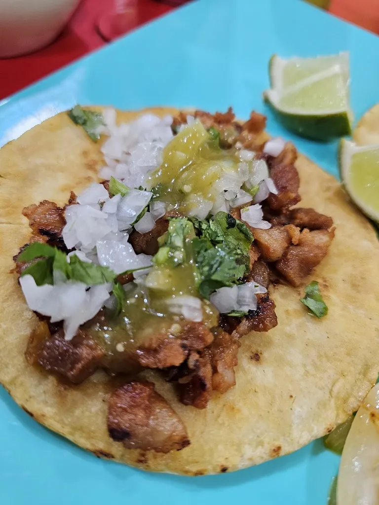 YARDAS QUESADILLAS VILLAFLORES_Villaflores_slider_image_2