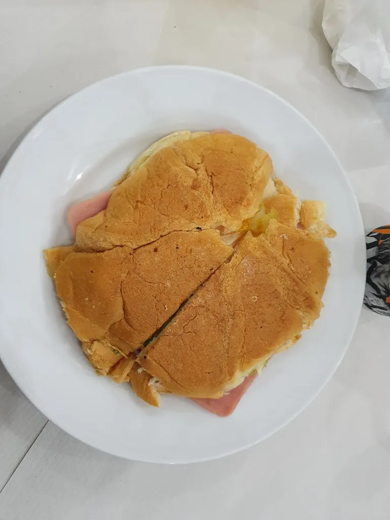 Junghee MAENG_El Pino _Arafo_review