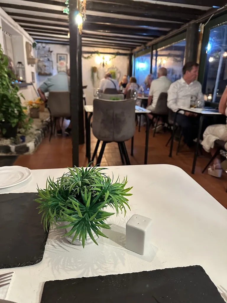 Kirsty McLaren_Oliver's Out of Town_Arona_review