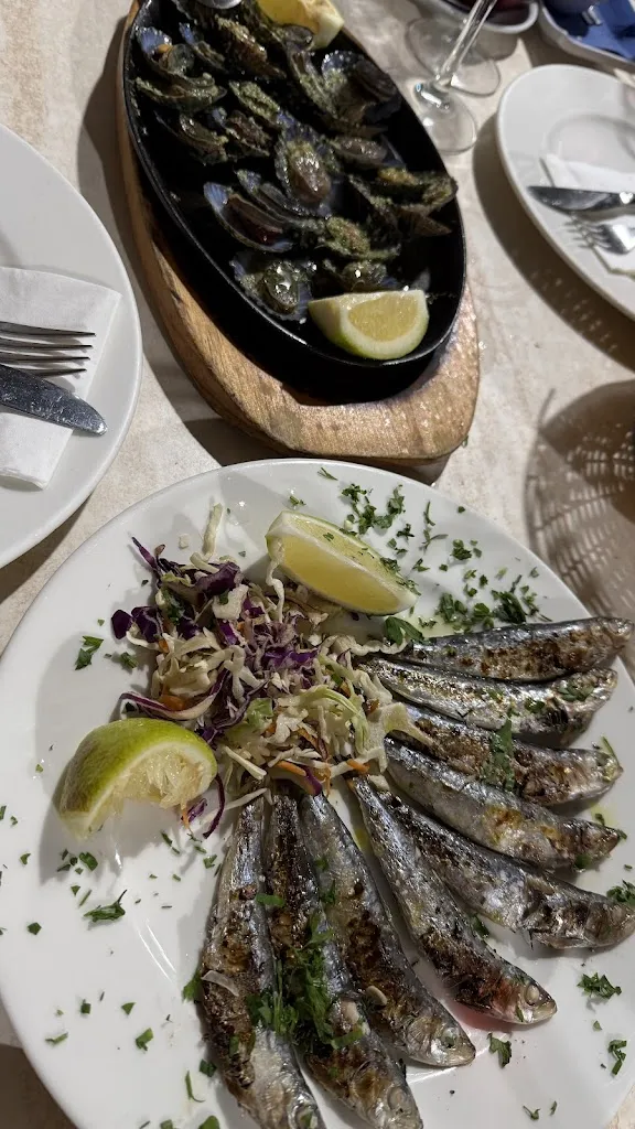 Adelin Vaicar_Abordo_Arona_review