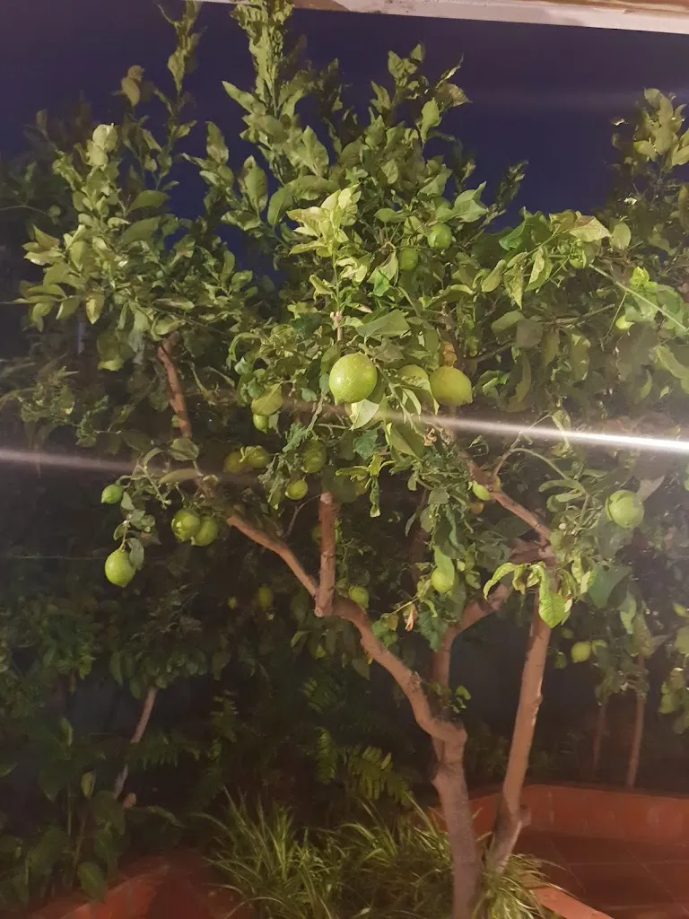 Andrew Charman_Restaurante La Abuela_Arona_review