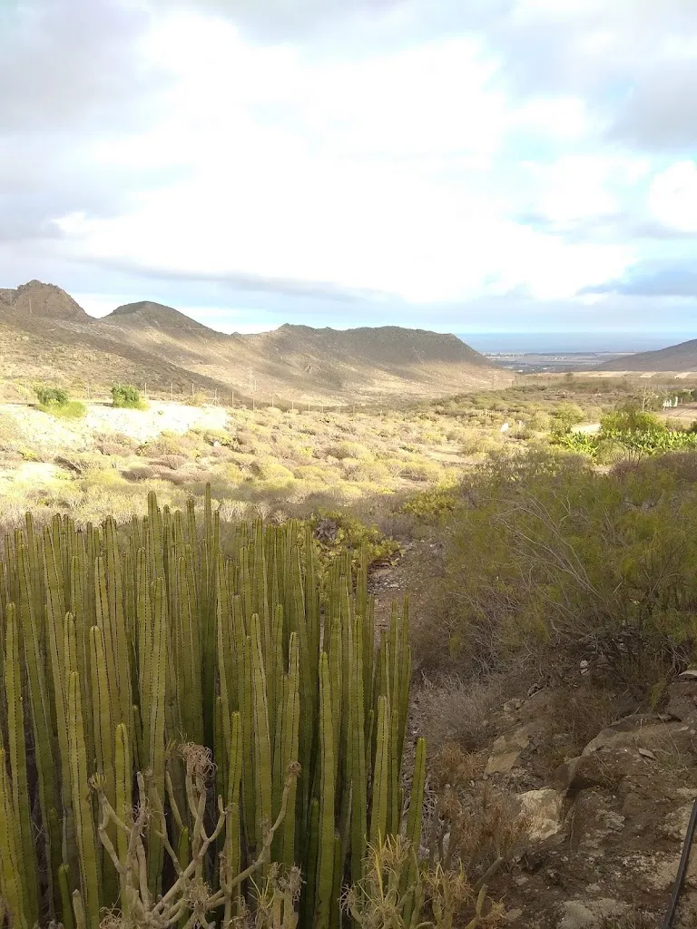 Gasan Gasanbekov_The craters of the Moon_Arona_review