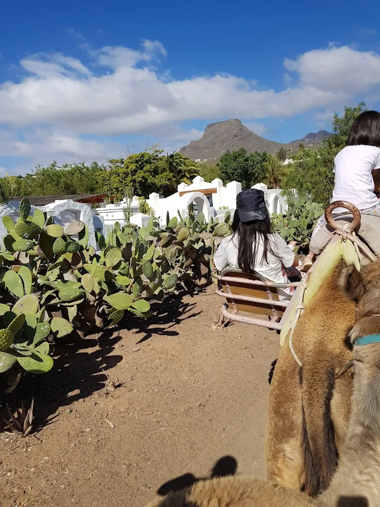 adrian stan_The craters of the Moon_Arona_review