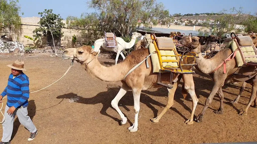 The craters of the Moon_Arona_slider_image_2