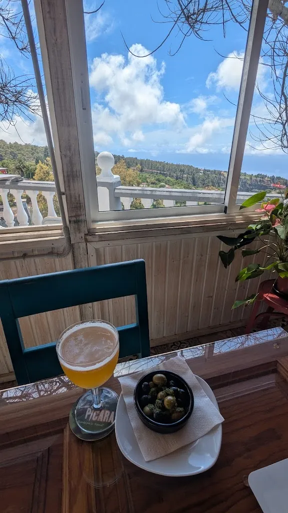 Konstantin Medvedev_Camu Camu_Garafía_recensione