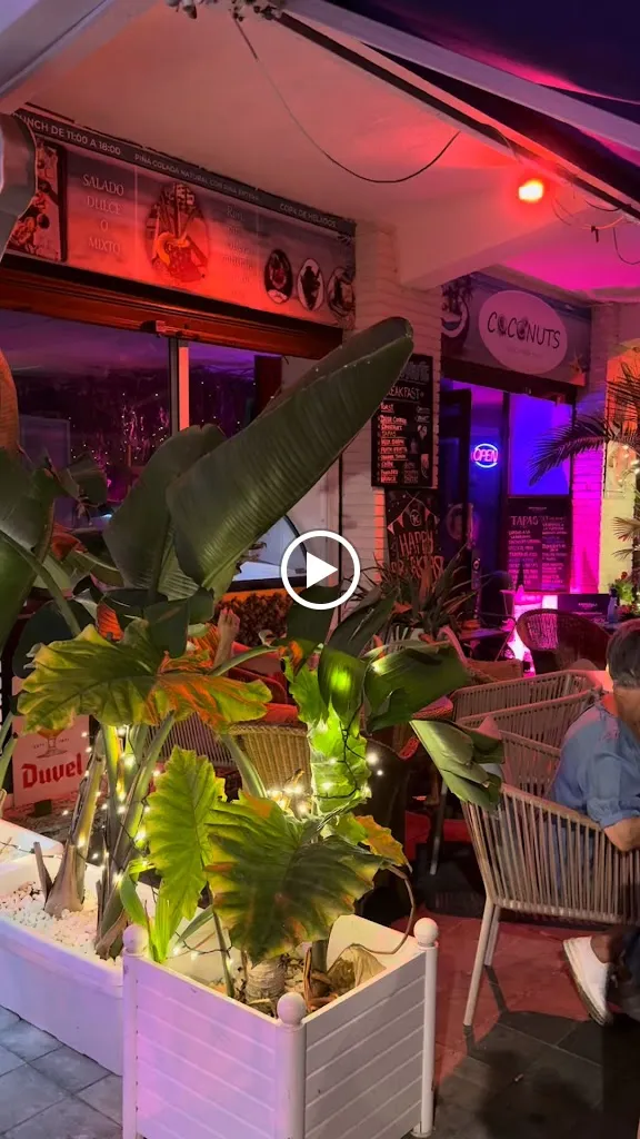 Coconuts_Villajoyosa/Vila Joiosa la_slider_image_2