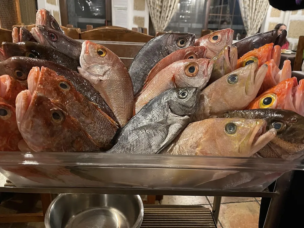 Radu Andrei Balaceanu_El Rinconcito de Hilario_Granadilla de Abona_review