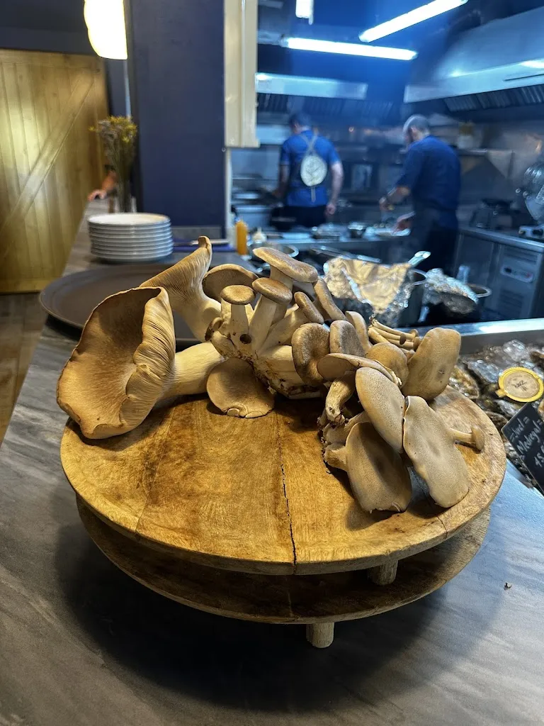 Sasha Krymova_Bestia Marina_Garachico_review