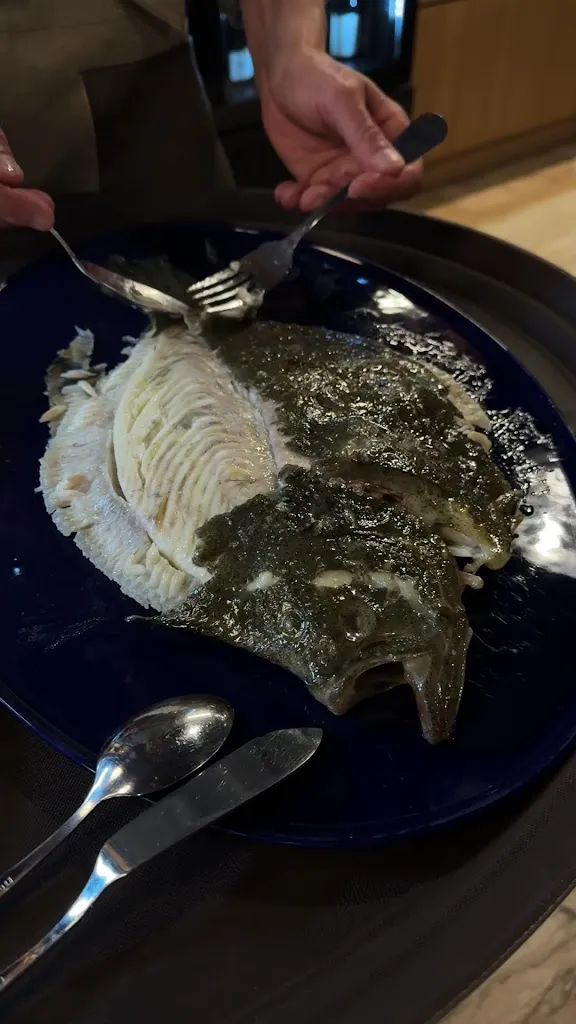 Colin Meyer_Bestia Marina_Garachico_review