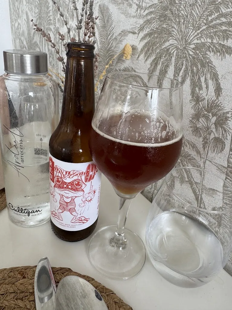 David Ioan Popescu_Ardeola Arrocería_Garachico_review