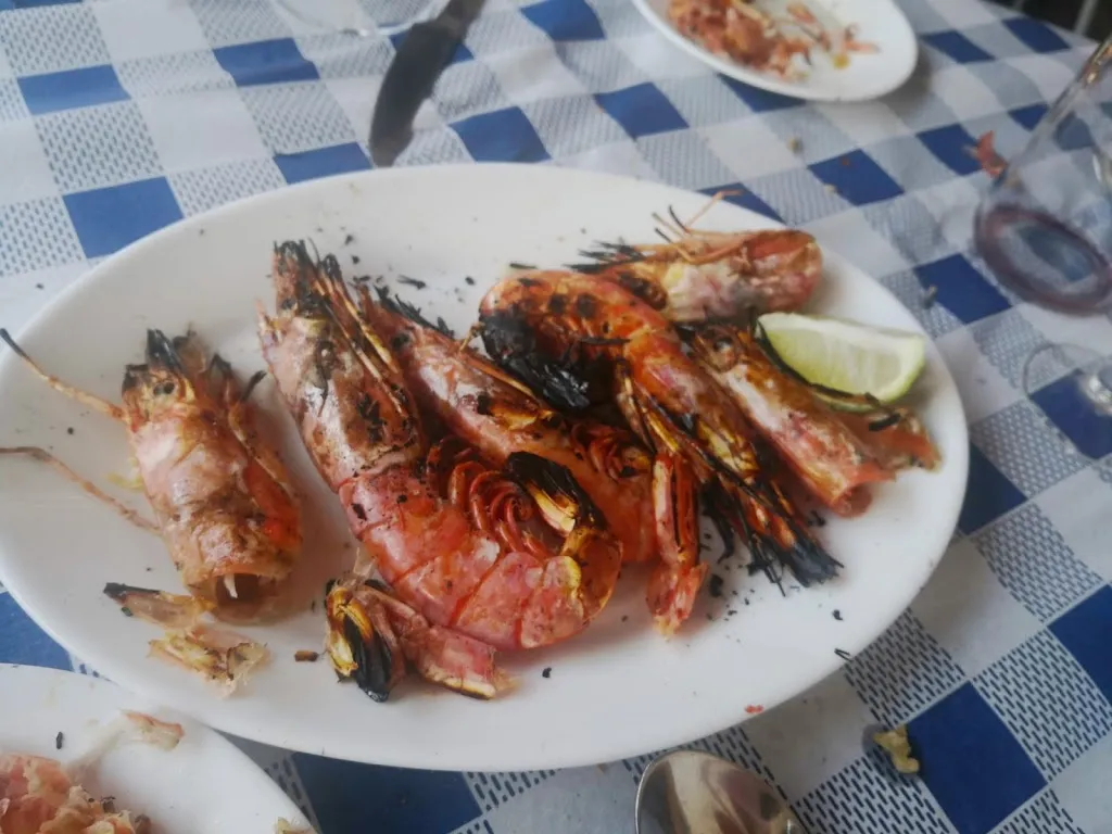 Vicente Padilla Rodriguez_Las lavas_Garachico_avis