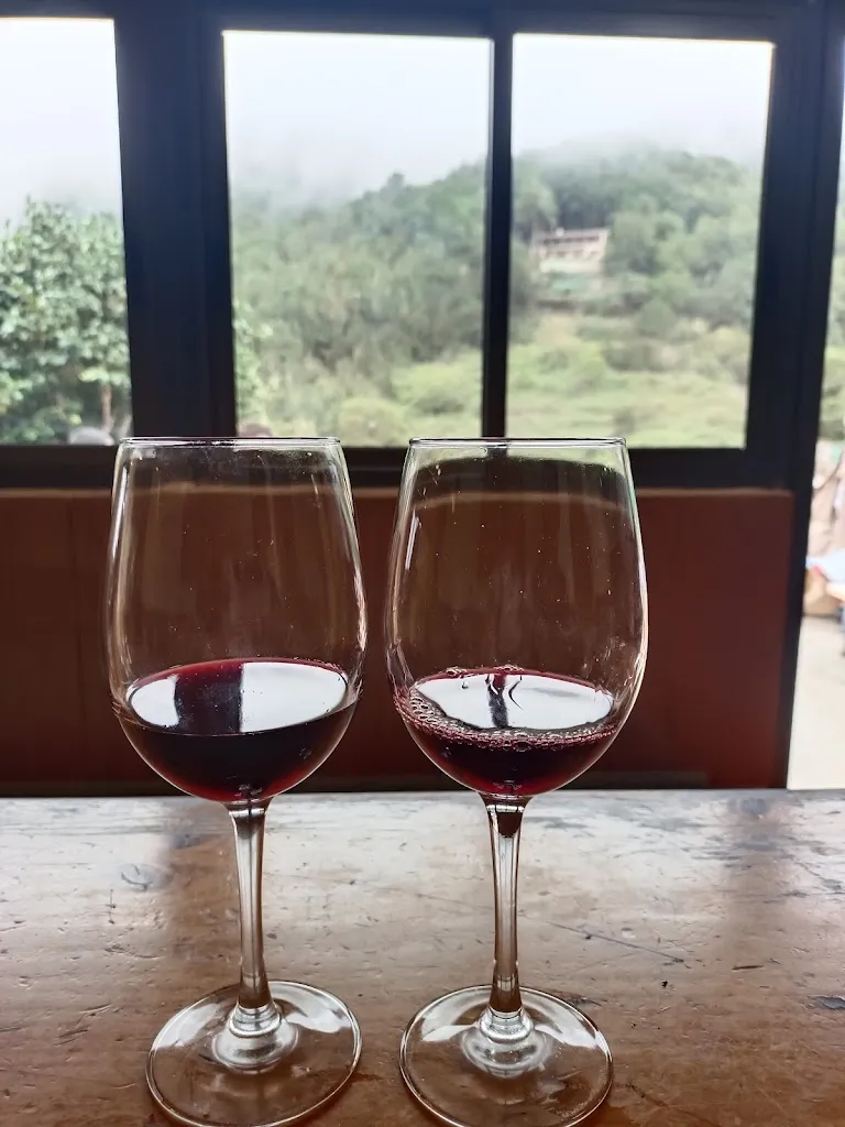 Menu_Restaurant Camping La Vista_Hermigua_image_9