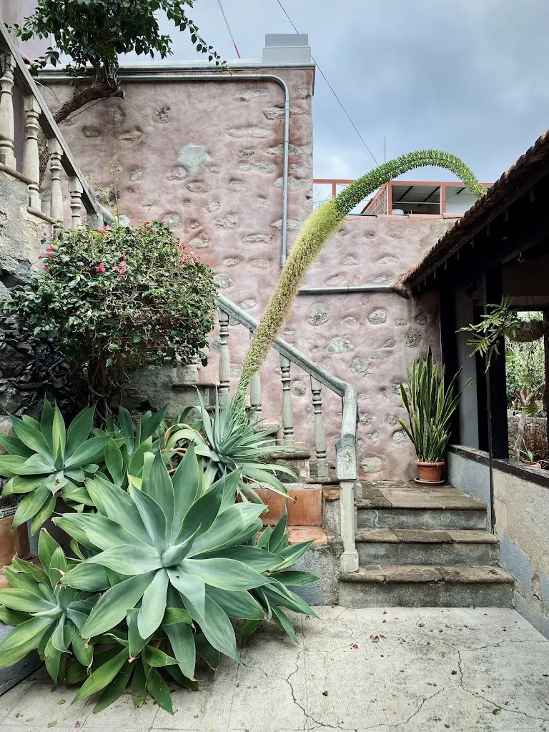 Idan A._La Casa Creativa/ Bar Terraza Pedro_Hermigua_review