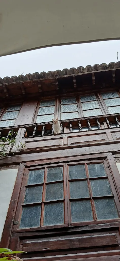 Monia T_El Patio de los Sentidos_Icod de los Vinos_review