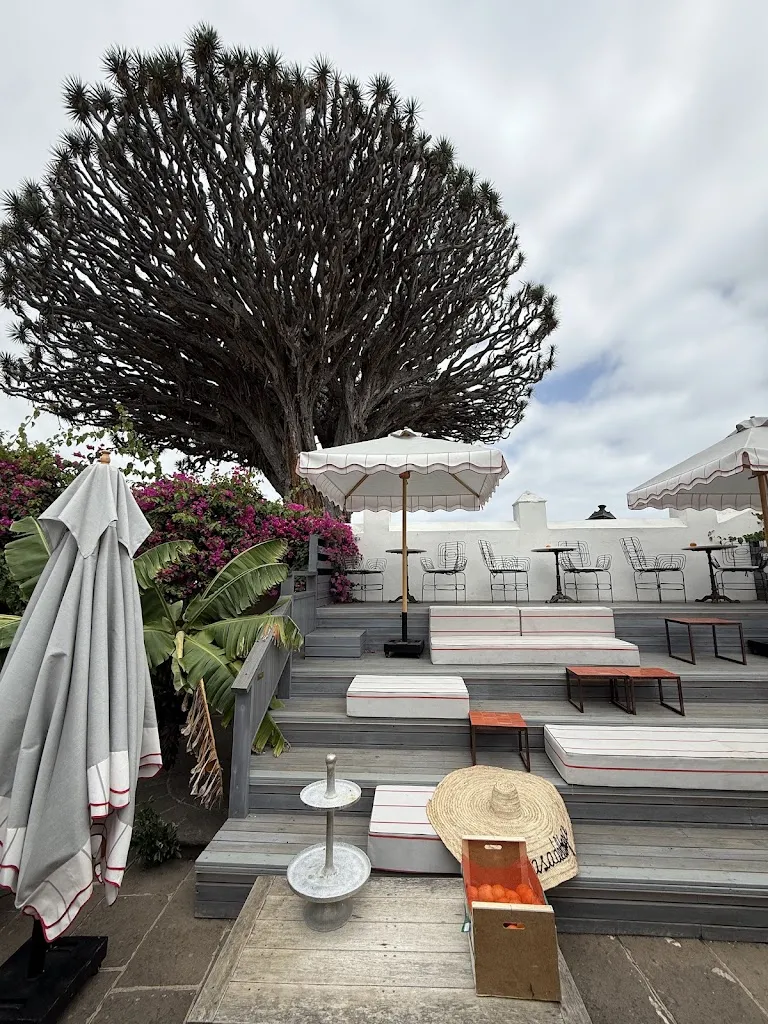 Alex Goiea_La Casa del Drago_Icod de los Vinos_review