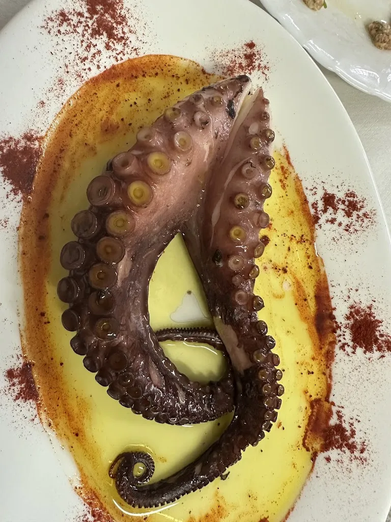 Lotta_Bar-Cafetería La Ratonera_Icod de los Vinos_review