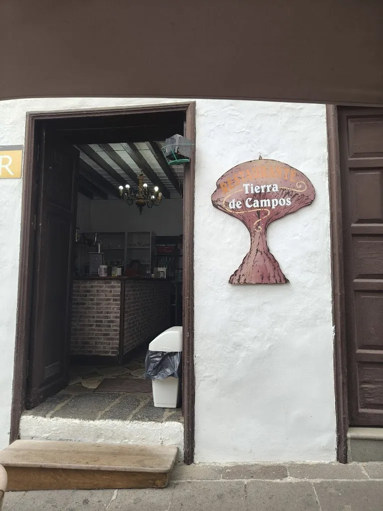 --_Restaurante Tierra de Campos_Icod de los Vinos_review