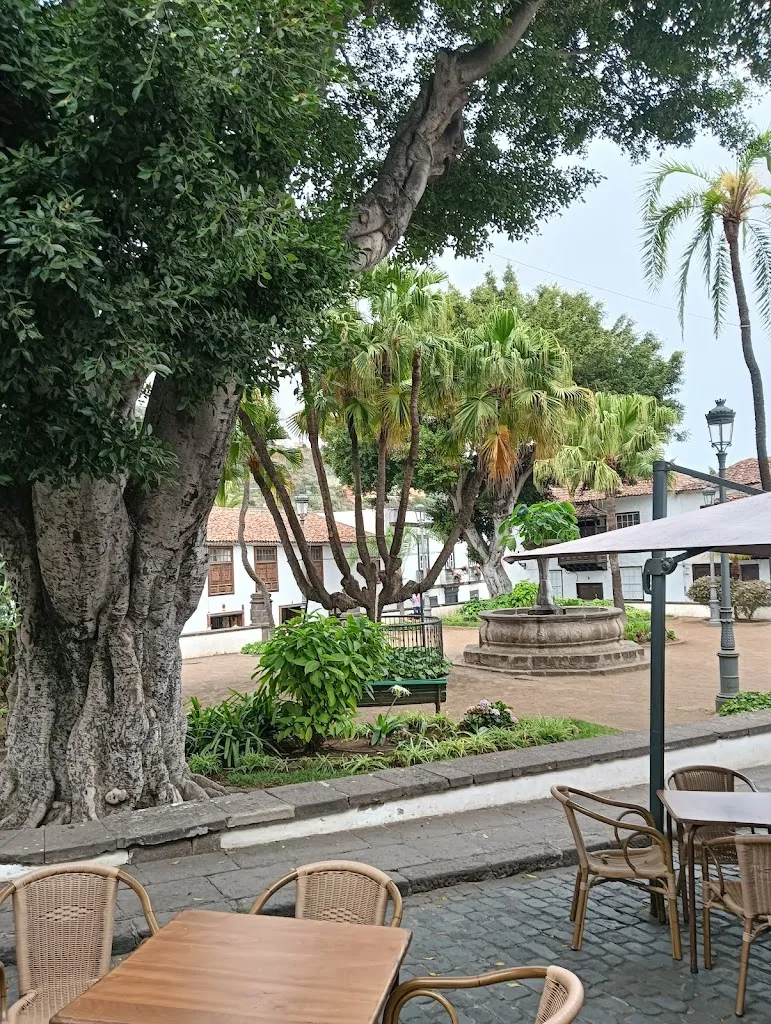 Restaurante Tierra de Campos restaurant in Icod de los Vinos