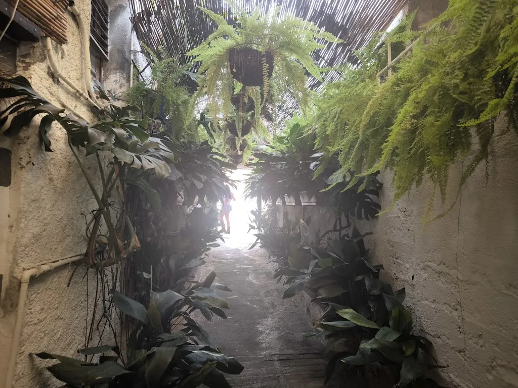 Eduardo Ruiz González_Bar Casa Teodoro _Icod de los Vinos_review