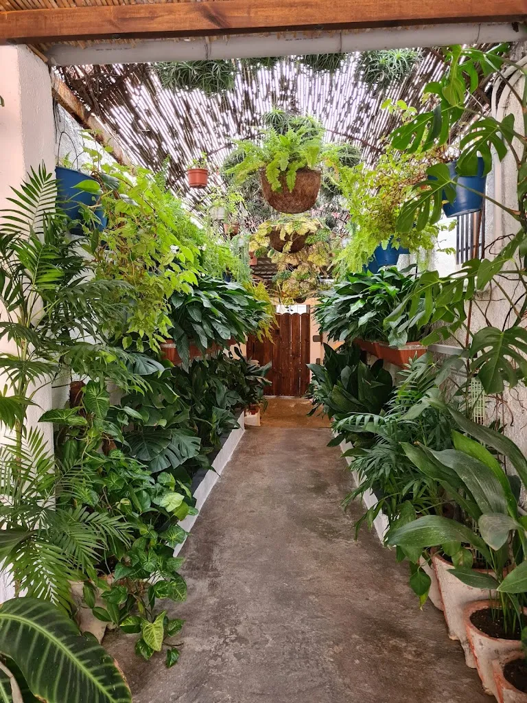 Bar Casa Teodoro _Icod de los Vinos_slider_image_3