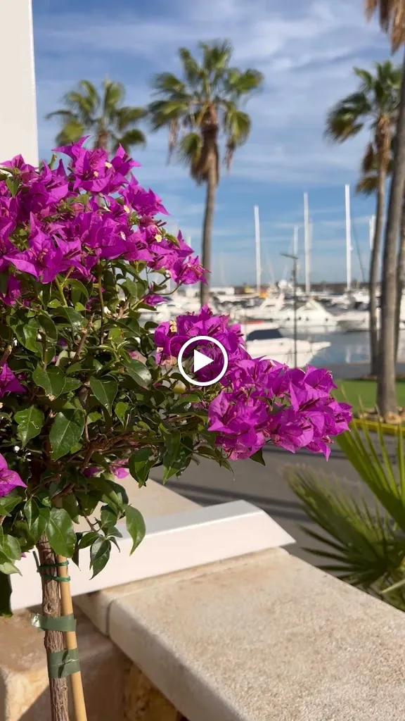 Restaurante Club Náutico_Villajoyosa/Vila Joiosa la_slider_image_2