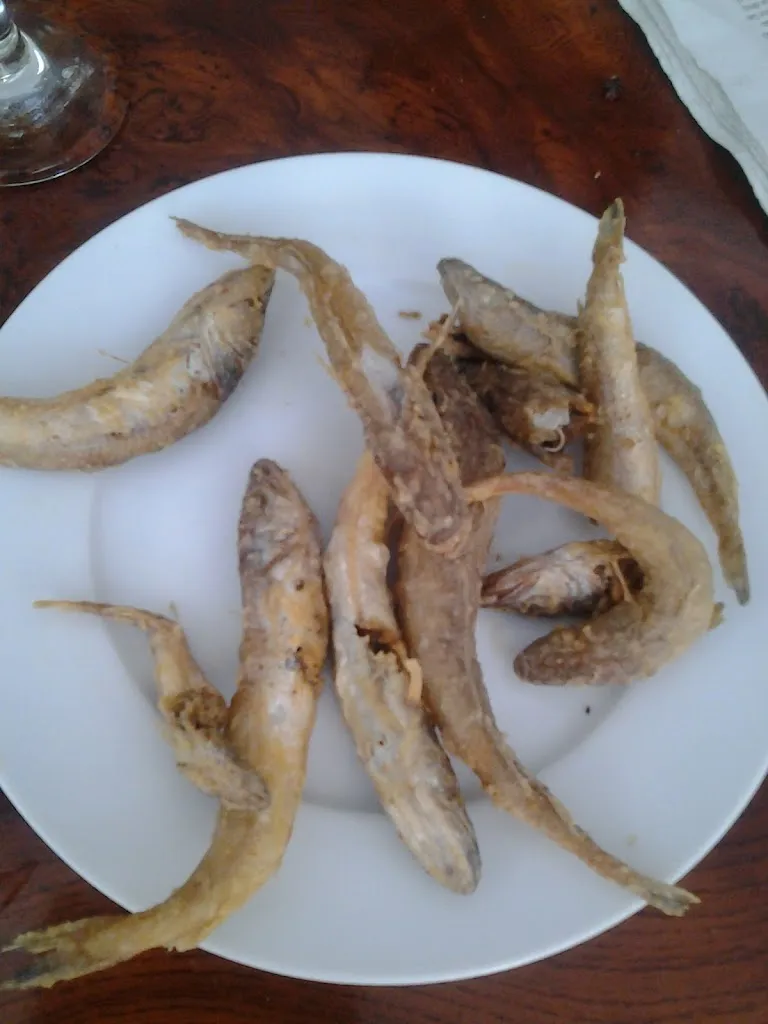 iobb Kevin_Llar del Pensionista La Vila Joiosa_Villajoyosa/Vila Joiosa la_Bewertung