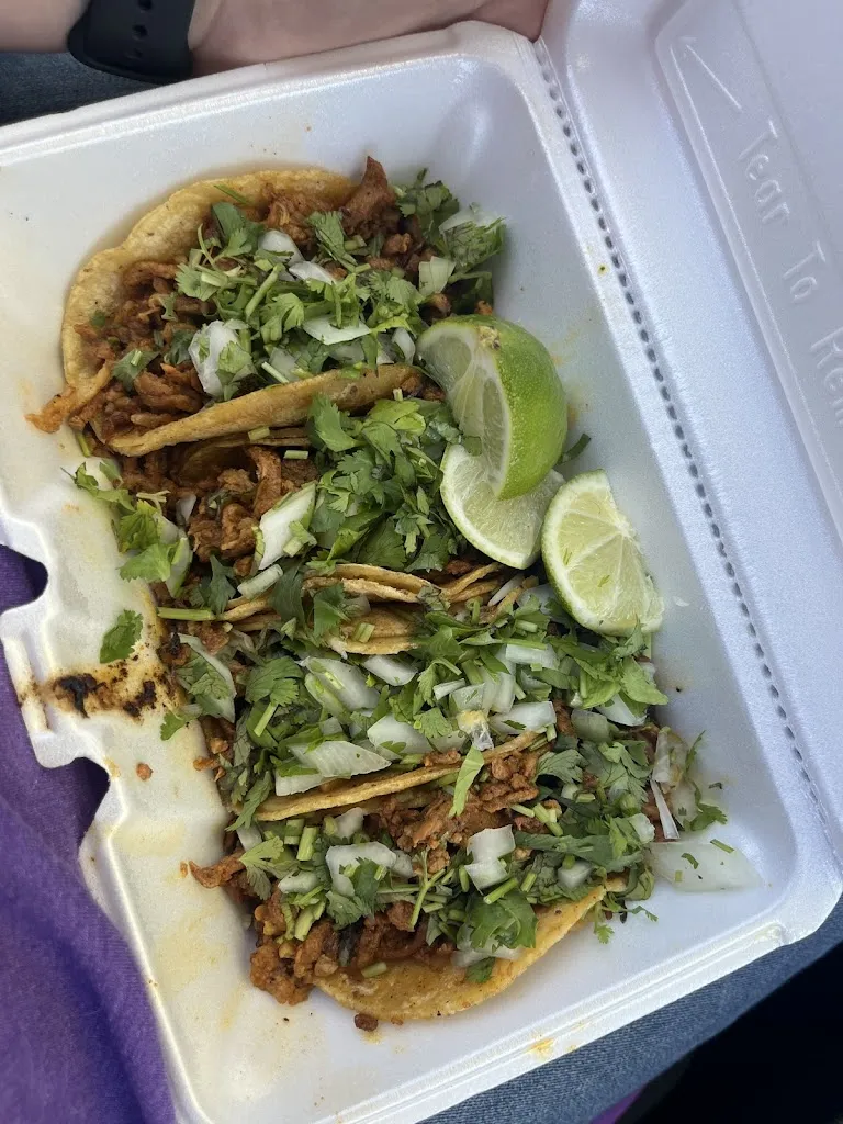 Jayden Barlass_El Guero Tacos Punta Gorda_Puntagorda_review