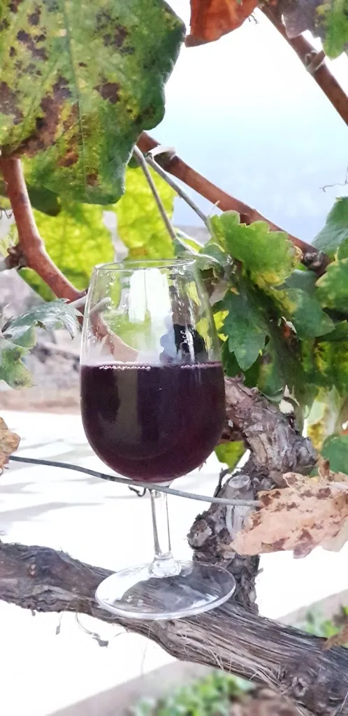 Menu_Guachinche Las Galanas_Realejos Los_image_5