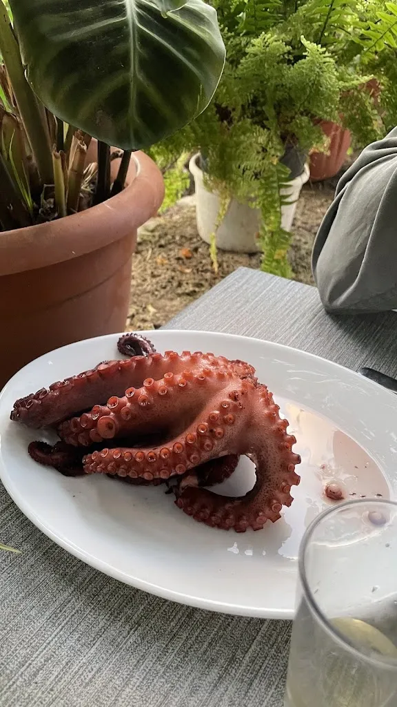 Dirk Eggert-Doktor_Guachinche Las Galanas_Realejos Los_review