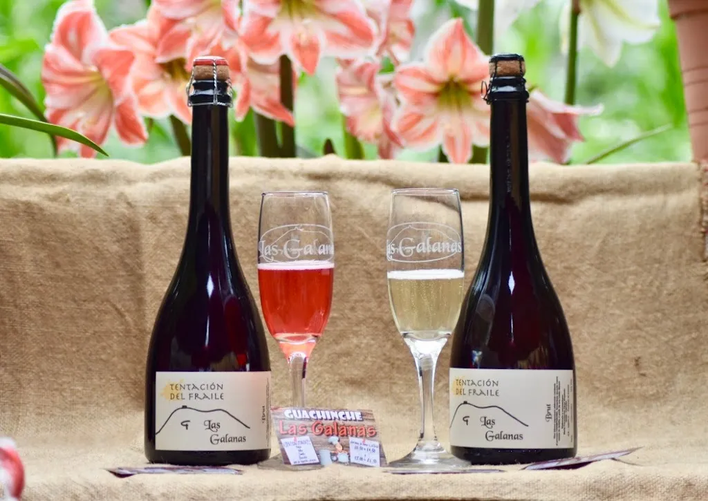 Guachinche Las Galanas_Realejos Los_slider_image_2