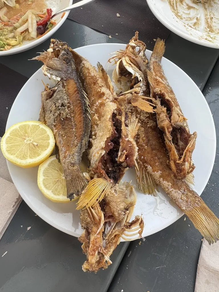 Monica Ford_Restaurante Mesón del Mar_San Andrés y Sauces_review