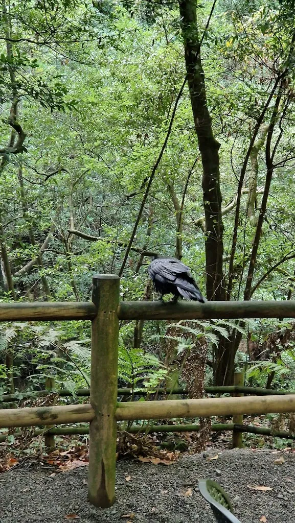 Casa Demetrio_San Andrés y Sauces_slider_image_3