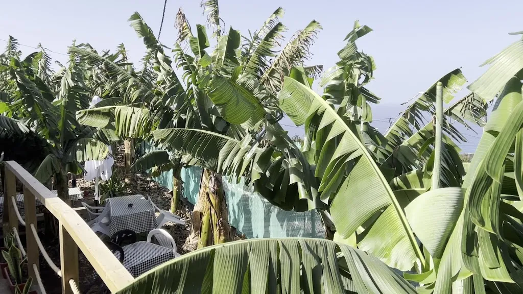 El Rincón de Edu_San Juan de la Rambla_slider_image_2