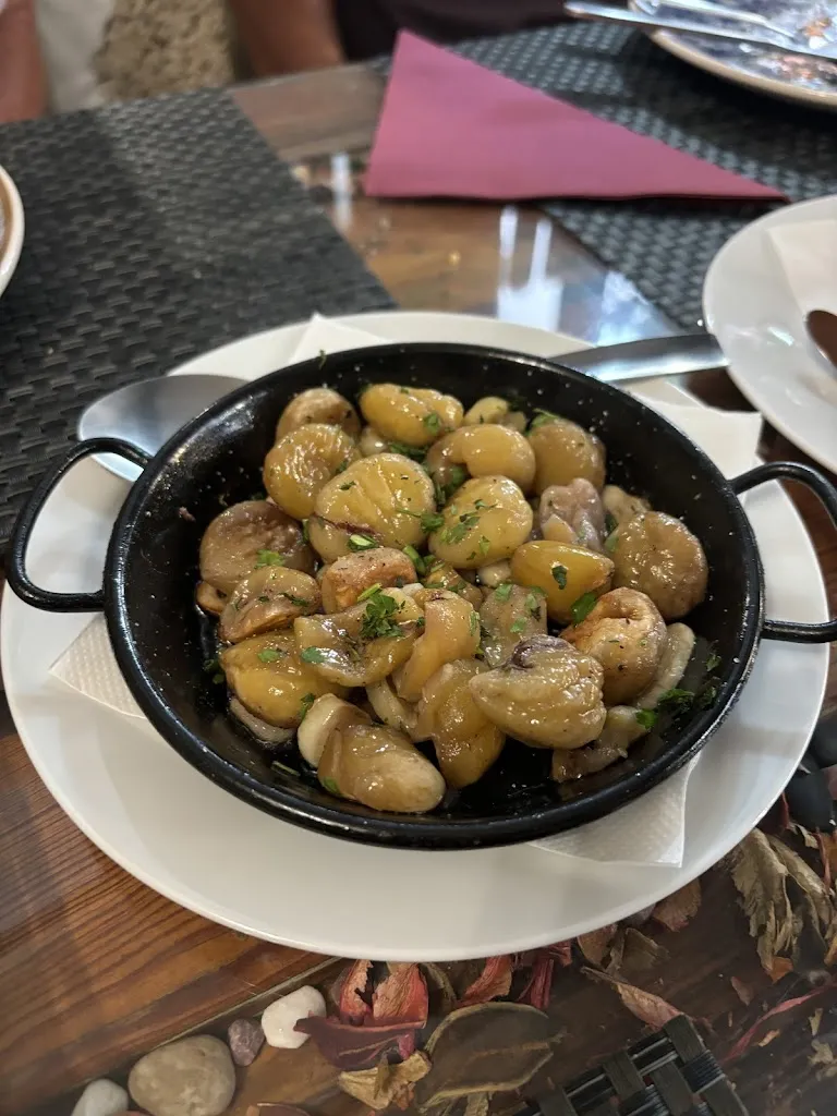 Bibi Farren_Rincón Patio Bello_San Miguel De Abona_review