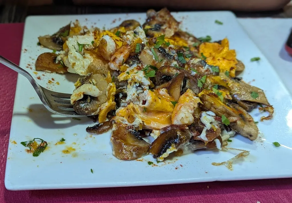 James Kafka_Rincón Lagunero_San Cristóbal de La Laguna_review