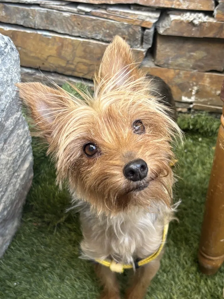 miguel angel miranda ruiz_Sulayr Bayarcal_Bayárcal_review